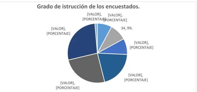 Gráfico 11: Grado de instrucción. 