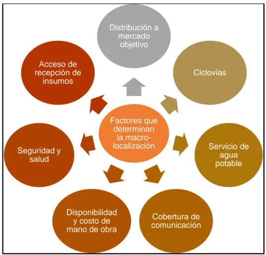 Figura 30. Factores que determinan la macro-localización. 