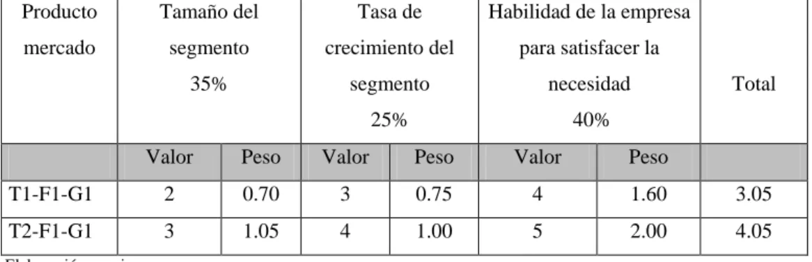 Cuadro 2.5: Matriz de macrosegmentación 