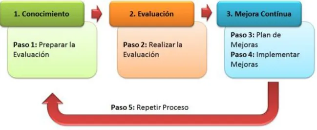 Ilustración 8 Proceso de implementación OPM3 (PMI, 2008) – (Fuente: 