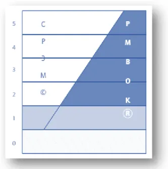 Ilustración 9 Distribución y complementariedad de las prácticas y procesos CP3M  y  PMBOK   (Fuente: http://www.redalyc.org/articulo.oa?id=81830435002)