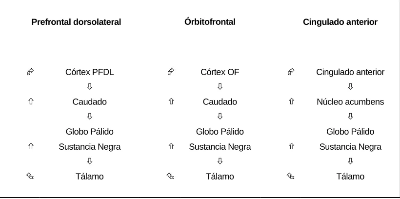 Cuadro 12. Circuitos fronto-subcorticales y control ejecutivo 