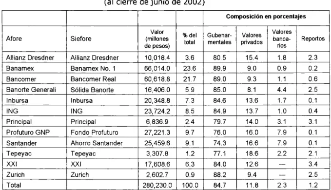 cuadro  11.  Valor  y  composición  de  la  cartera  de  las  Siefores  (al  cierre de junio de  2002) 