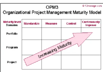 Figura 4: Modelo de organización de la evolución de la Administración de proyecto 