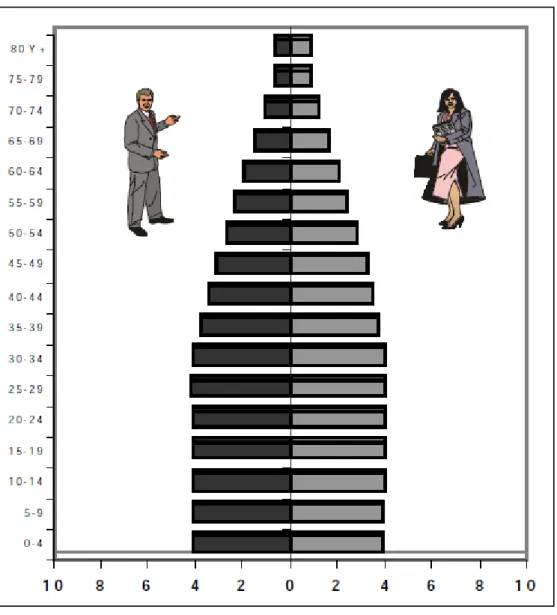 Figura 3. Pirámide de la población peruana al 2025. 