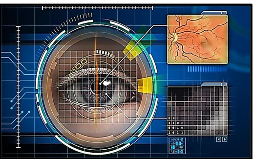 Figura 15. Método de control de acceso por reconocimiento ocular. 