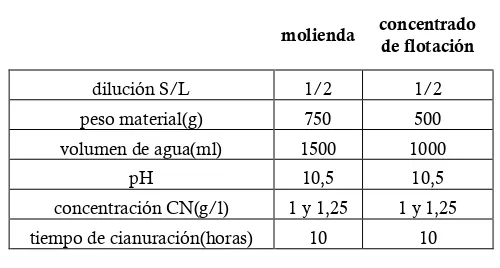 Tabla 9. Parámetros de Cianuración 