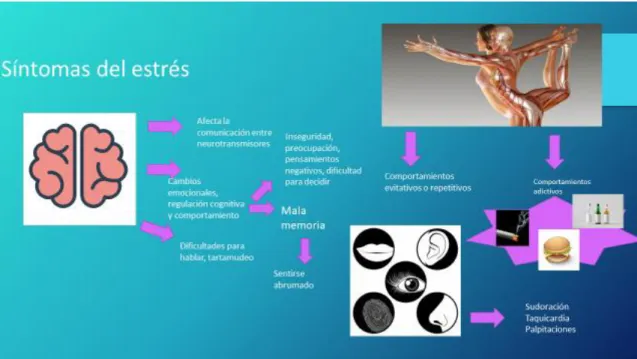 Figura 10. Síntomas del estrés. 