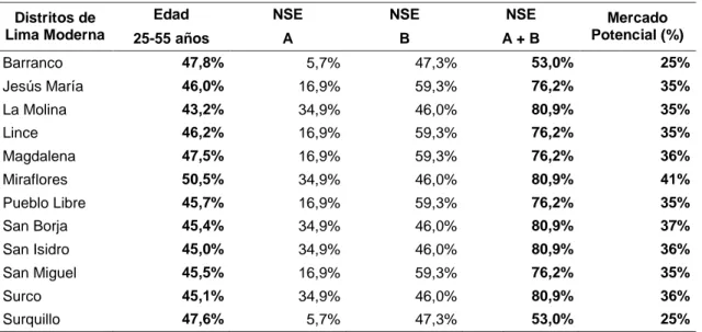 Tabla 19: Criterios de Segmentación según Marco Muestral 