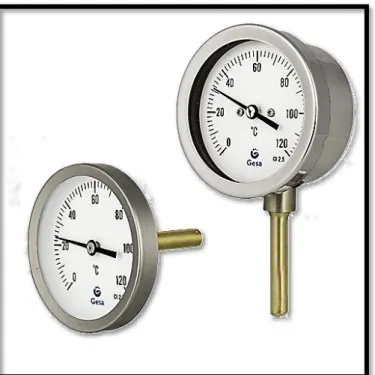 Figura 20. Sensor bimetálico. 