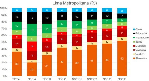 Figura 13. Distribución de Gastos según NSE 2017 – Lima Metropolitana.  