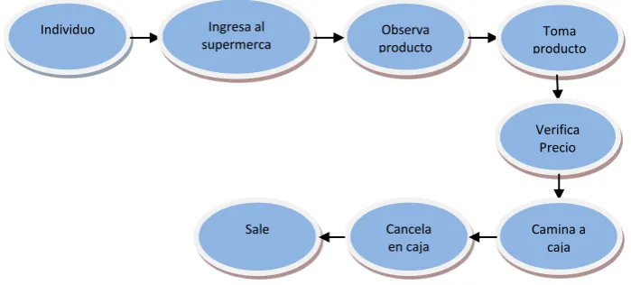 Figura Nº 2 (a)  Comportamiento Normal 