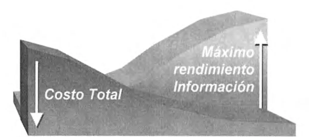 Figura  1 Representación gráfica de costos de  la  información.  Fuente:  Alejandro Cota Alcázar (2002) 