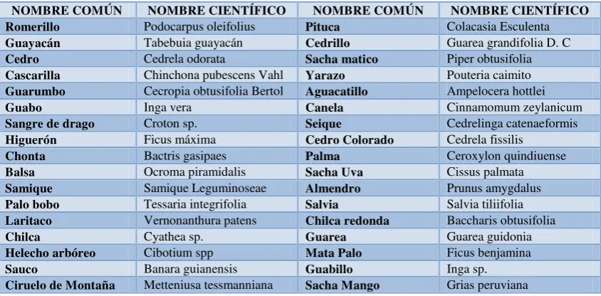 CUADRO # 7. MAMÍFEROS 