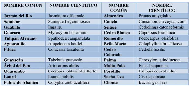 CUADRO 15. MAMÍFEROS 
