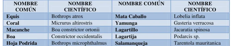 CUADRO 16. AVES 