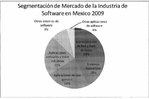 Figura 2.2 Segmentadón de Mercado de la  industria de  Software (Data Monitor, 2009) 