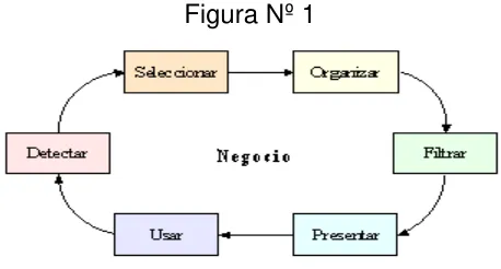 Figura Nº 1 
