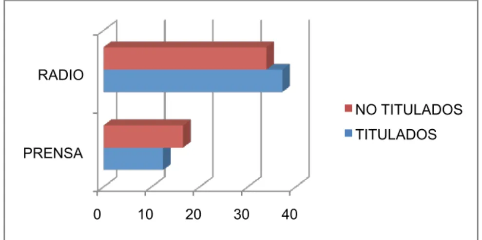 GRÁFICO N° 33 