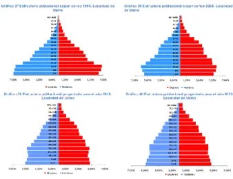 Figura 3. Gráficos Estructura población proyectada para el año (1993-2020).  