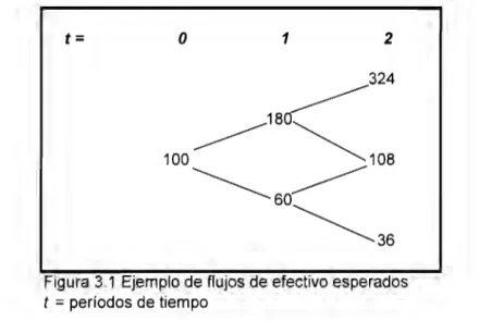 Figura  3.1  Ejemplo de flujos de efectivo esperados  t  = períodos de tiempo 