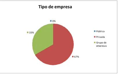 Figura 3.2.2 Tipo de empresa 