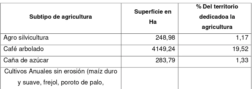 Cuadro Nº1: Superficie dedicada a la agricultura