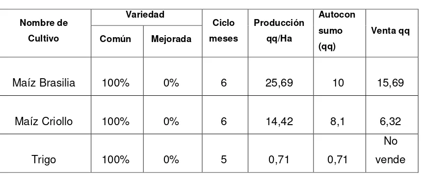 Cuadro No 7. : Producción Cereales