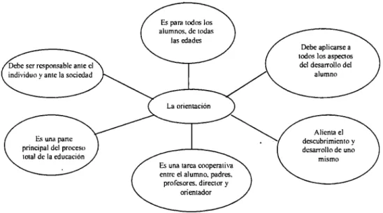 Figura 2.  Principios de  la orientación 
