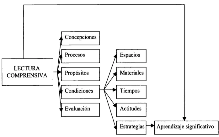 Figura  J.  Categorías conceptuales  y  su interrelación en el  proceso de enseñanza de la  lectura comprensiva