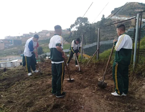 Figura 15. Preparación del terreno 