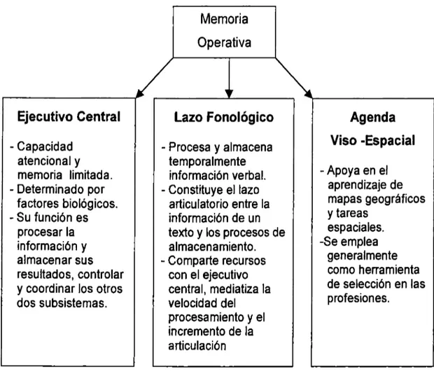 Figura 2. Esquema de los diferentes niveles de la memoria operativa y las  distintas funciones que realizan