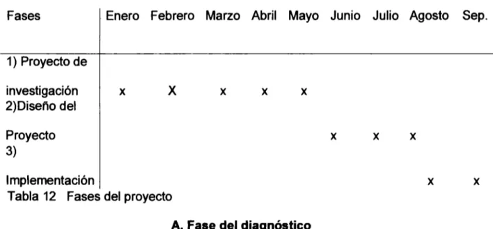 Tabla  12  Fases del proyecto 