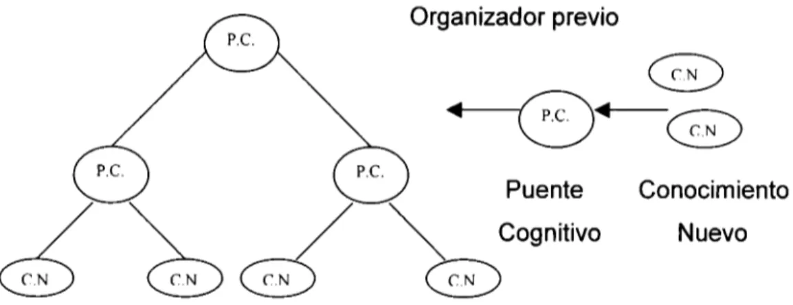 Figura 6.  El  puente cognitivo (P.  C.) de Novak (1988) 