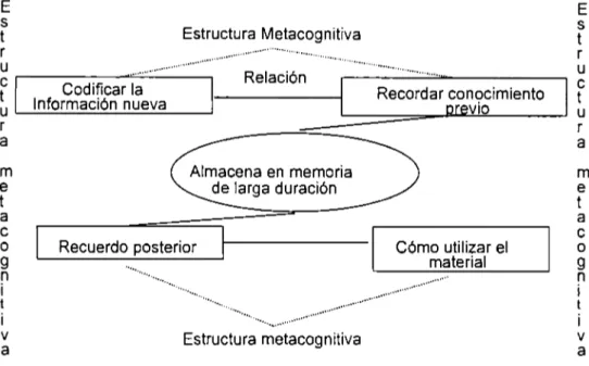 Figura 7.  Estructura metacognitiva. 