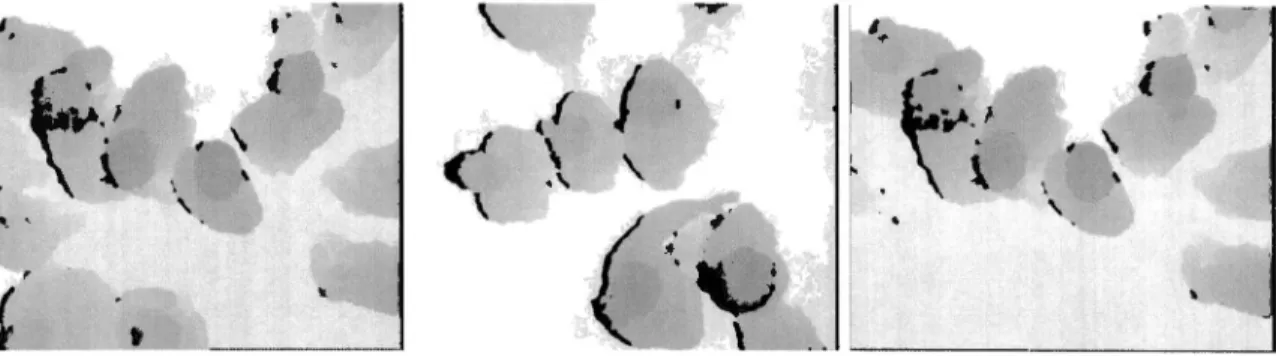 Figure  3.3:  Example  Images of Dense  Crowds  We  Are  Dealing  With 