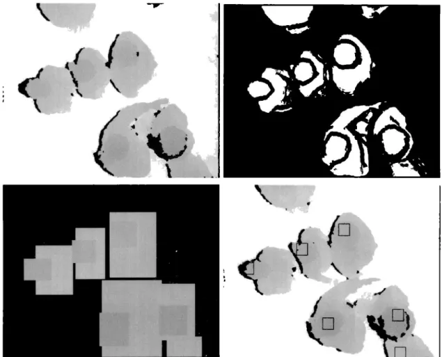 Figure  3.5:  (1)  Input  Image;  (2)Derivative  Step  Output;  (3)Layers  Extraction  Step  Output;  ( 4)  Detection  Step  Output 