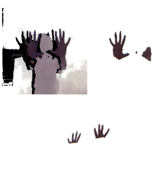 Figure 4.1:  Limitations of the  First  Approach  of Hand  Detection  Algorithm 