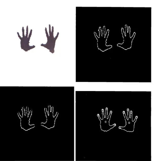Figure  4.5:  Fingertip  Detection  Outcomes 
