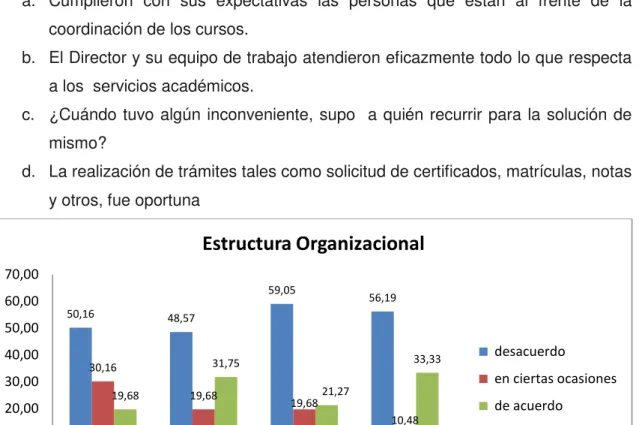 GRÁFICO N°13 