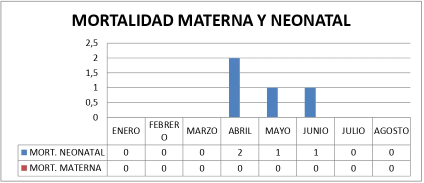 Cuadro  N°.12. Porcentaje de estándares e indicadores de salud, materna – neonatal, del Hospital Básico  Shushufindi 2013