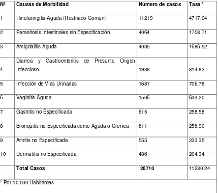 Tabla Nº 01 Diez Principales causas de Morbilidad en el Cantón Pelileo - Año    2012 