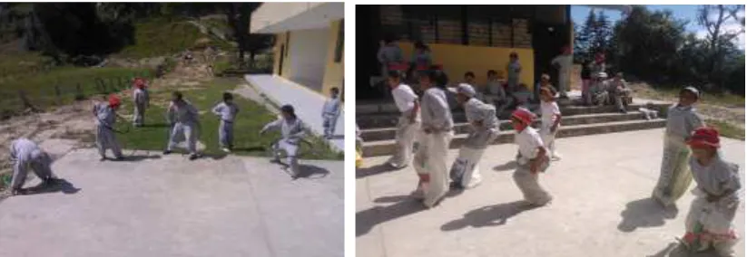 Tabla N. 8 Vacunas administradas 