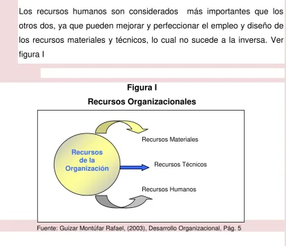 figura I 
