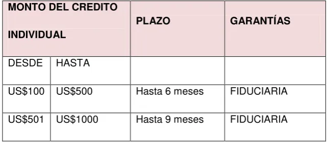 Cuadro nº1: CONDICIONES DEL CREDITO INDIVIDUAL 