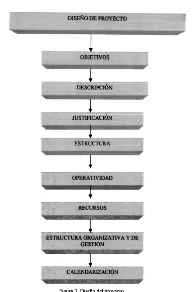 Figura 3.  Diseño del  proyecto 