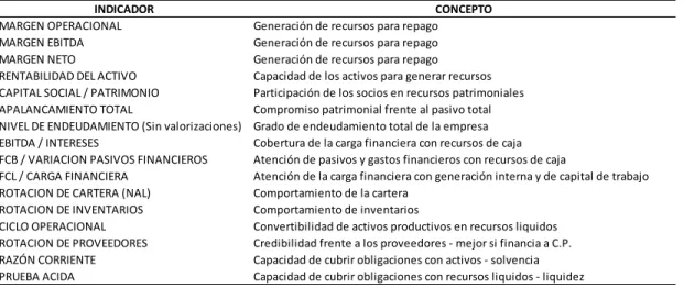 Tabla 9. Concepto de los indicadores 