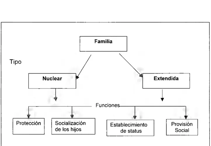 Fig.  1 O Mapa Conceptual de jerarquías: el  esquema representa el  contenido de un  curso de sociología