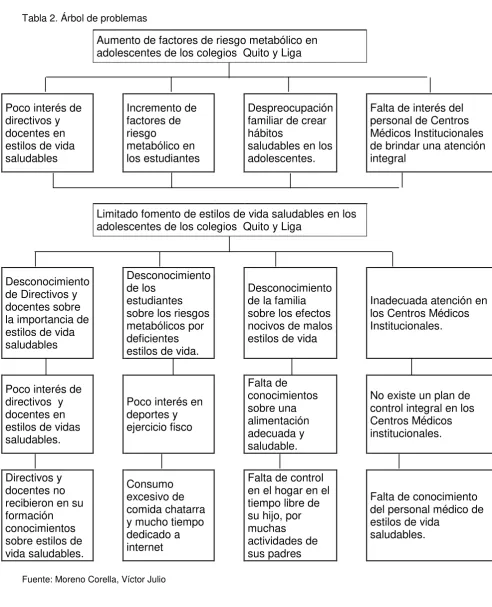 Tabla 2. Árbol de problemas 