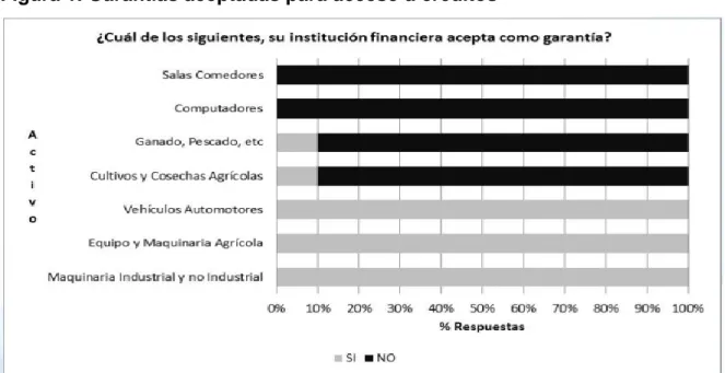 Figura 1. Garantías aceptadas para acceso a créditos 